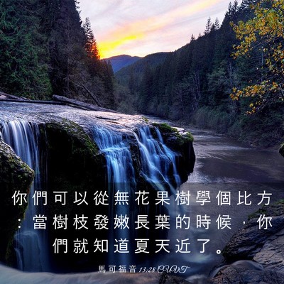 Picture 03 - 馬 可 福 音 13:28 CUVT - 你 們 可 以 從 無 花 果 樹 學 個 比 - Bible Verse Picture