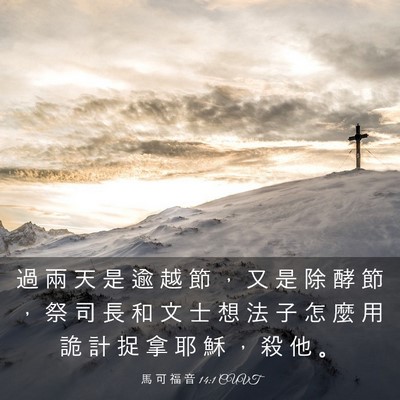 Picture 03 - 馬 可 福 音 14:1 CUVT - 過 兩 天 是 逾 越 節 ， 又 是 除 酵 - Bible Verse Picture
