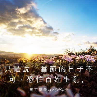 Picture 03 - 馬 可 福 音 14:2 CUVT - 只 是 說 ： 當 節 的 日 子 不 可 ， - Bible Verse Picture