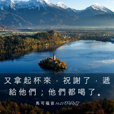 Picture 03 - 馬 可 福 音 14:23 CUVT - 又 拿 起 杯 來 ， 祝 謝 了 ， 遞 給 - Bible Verse Picture