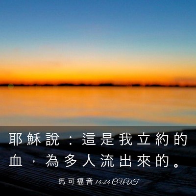 Picture 03 - 馬 可 福 音 14:24 CUVT - 耶 穌 說 ： 這 是 我 立 約 的 血 ， - Bible Verse Picture