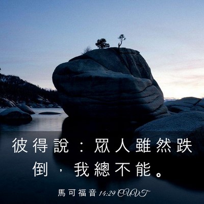 Picture 03 - 馬 可 福 音 14:29 CUVT - 彼 得 說 ： 眾 人 雖 然 跌 倒 ， 我 - Bible Verse Picture