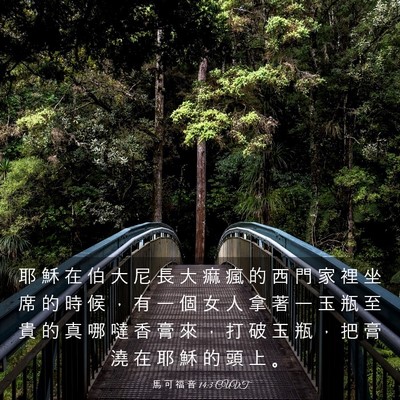 Picture 03 - 馬 可 福 音 14:3 CUVT - 耶 穌 在 伯 大 尼 長 大 痲 瘋 的 西 - Bible Verse Picture