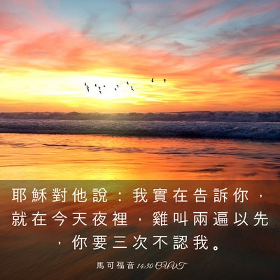 Picture 03 - 馬 可 福 音 14:30 CUVT - 耶 穌 對 他 說 ： 我 實 在 告 訴 你 - Bible Verse Picture