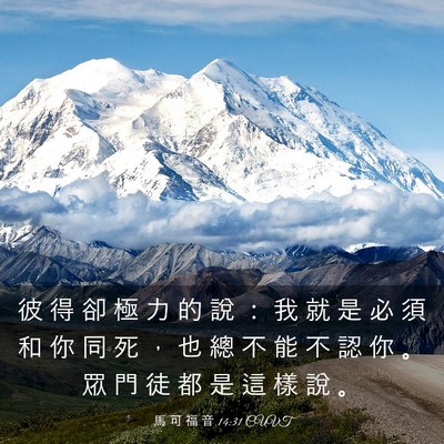 Picture 03 - 馬 可 福 音 14:31 CUVT - 彼 得 卻 極 力 的 說 ： 我 就 是 必 - Bible Verse Picture
