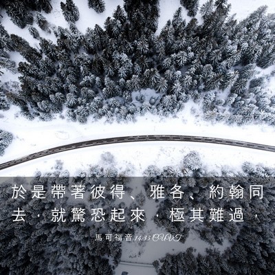 Picture 03 - 馬 可 福 音 14:33 CUVT - 於 是 帶 著 彼 得 、 雅 各 、 約 翰 - Bible Verse Picture