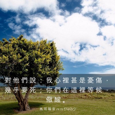 Picture 03 - 馬 可 福 音 14:34 CUVT - 對 他 們 說 ： 我 心 裡 甚 是 憂 傷 - Bible Verse Picture