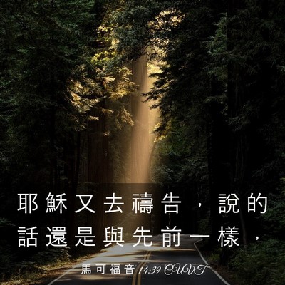 Picture 03 - 馬 可 福 音 14:39 CUVT - 耶 穌 又 去 禱 告 ， 說 的 話 還 是 - Bible Verse Picture