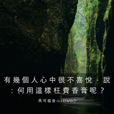 Picture 03 - 馬 可 福 音 14:4 CUVT - 有 幾 個 人 心 中 很 不 喜 悅 ， 說 - Bible Verse Picture