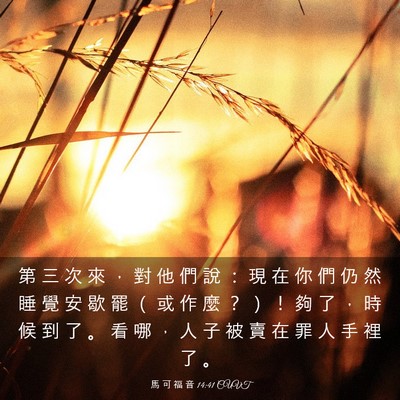 Picture 03 - 馬 可 福 音 14:41 CUVT - 第 三 次 來 ， 對 他 們 說 ： 現 在 - Bible Verse Picture