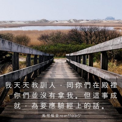 Picture 03 - 馬 可 福 音 14:49 CUVT - 我 天 天 教 訓 人 ， 同 你 們 在 殿 - Bible Verse Picture