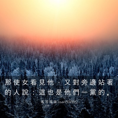 Picture 03 - 馬 可 福 音 14:69 CUVT - 那 使 女 看 見 他 ， 又 對 旁 邊 站 - Bible Verse Picture