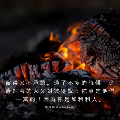 Picture 03 - 馬 可 福 音 14:70 CUVT - 彼 得 又 不 承 認 。 過 了 不 多 的 - Bible Verse Picture
