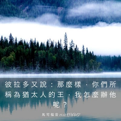 Picture 03 - 馬 可 福 音 15:12 CUVT - 彼 拉 多 又 說 ： 那 麼 樣 ， 你 們 - Bible Verse Picture
