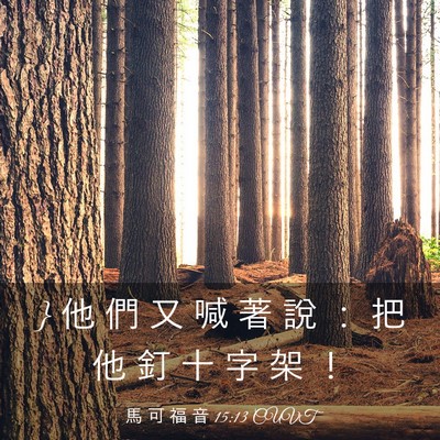 Picture 03 - 馬 可 福 音 15:13 CUVT - } 他 們 又 喊 著 說 ： 把 他 釘 十 字 - Bible Verse Picture
