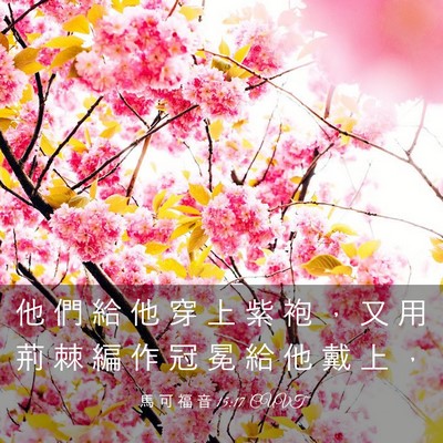Picture 03 - 馬 可 福 音 15:17 CUVT - 他 們 給 他 穿 上 紫 袍 ， 又 用 荊 - Bible Verse Picture