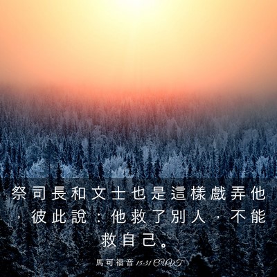 Picture 03 - 馬 可 福 音 15:31 CUVT - 祭 司 長 和 文 士 也 是 這 樣 戲 弄 - Bible Verse Picture