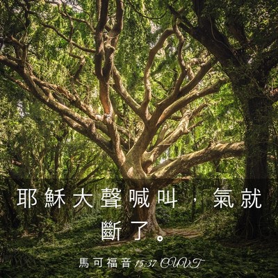 Picture 03 - 馬 可 福 音 15:37 CUVT - 耶 穌 大 聲 喊 叫 ， 氣 就 斷 了 - Bible Verse Picture