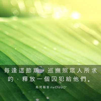 Picture 03 - 馬 可 福 音 15:6 CUVT - 每 逢 這 節 期 ， 巡 撫 照 眾 人 所 - Bible Verse Picture