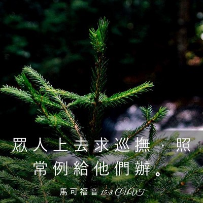 Picture 03 - 馬 可 福 音 15:8 CUVT - 眾 人 上 去 求 巡 撫 ， 照 常 例 給 - Bible Verse Picture