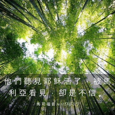 Picture 03 - 馬 可 福 音 16:11 CUVT - 他 們 聽 見 耶 穌 活 了 ， 被 馬 利 - Bible Verse Picture