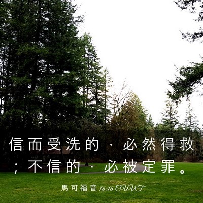Picture 03 - 馬 可 福 音 16:16 CUVT - 信 而 受 洗 的 ， 必 然 得 救 ； 不 - Bible Verse Picture