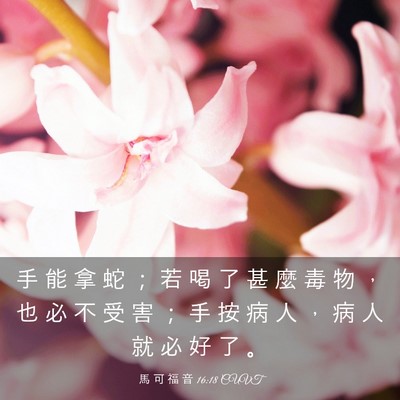 Picture 03 - 馬 可 福 音 16:18 CUVT - 手 能 拿 蛇 ； 若 喝 了 甚 麼 毒 物 - Bible Verse Picture