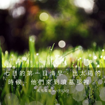 Picture 03 - 馬 可 福 音 16:2 CUVT - 七 日 的 第 一 日 清 早 ， 出 太 陽 - Bible Verse Picture