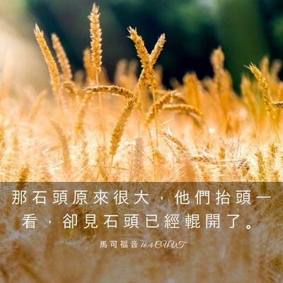 Picture 03 - 馬 可 福 音 16:4 CUVT - 那 石 頭 原 來 很 大 ， 他 們 抬 頭 - Bible Verse Picture