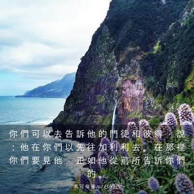 Picture 03 - 馬 可 福 音 16:7 CUVT - 你 們 可 以 去 告 訴 他 的 門 徒 和 - Bible Verse Picture