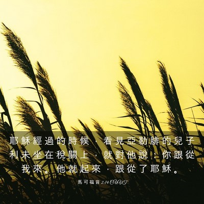 Picture 03 - 馬 可 福 音 2:14 CUVT - 耶 穌 經 過 的 時 候 ， 看 見 亞 勒 - Bible Verse Picture