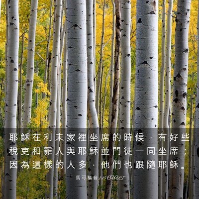 Picture 03 - 馬 可 福 音 2:15 CUVT - 耶 穌 在 利 未 家 裡 坐 席 的 時 候 - Bible Verse Picture