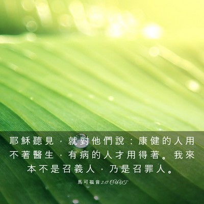 Picture 03 - 馬 可 福 音 2:17 CUVT - 耶 穌 聽 見 ， 就 對 他 們 說 ： 康 - Bible Verse Picture