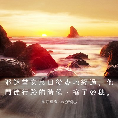 Picture 03 - 馬 可 福 音 2:23 CUVT - 耶 穌 當 安 息 日 從 麥 地 經 過 。 - Bible Verse Picture