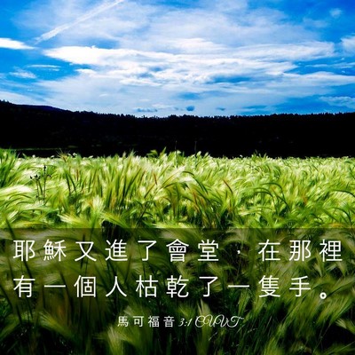 Picture 03 - 馬 可 福 音 3:1 CUVT - 耶 穌 又 進 了 會 堂 ， 在 那 裡 有 - Bible Verse Picture