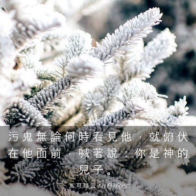 Picture 03 - 馬 可 福 音 3:11 CUVT - 污 鬼 無 論 何 時 看 見 他 ， 就 俯 - Bible Verse Picture