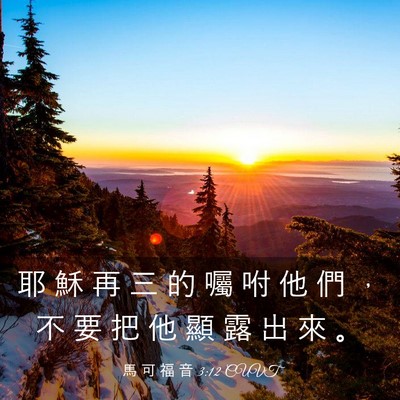 Picture 03 - 馬 可 福 音 3:12 CUVT - 耶 穌 再 三 的 囑 咐 他 們 ， 不 要 - Bible Verse Picture
