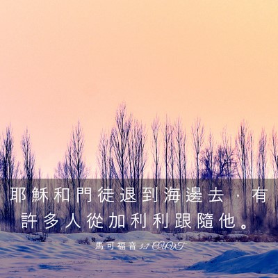 Picture 03 - 馬 可 福 音 3:7 CUVT - 耶 穌 和 門 徒 退 到 海 邊 去 ， 有 - Bible Verse Picture
