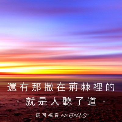 Picture 03 - 馬 可 福 音 4:18 CUVT - 還 有 那 撒 在 荊 棘 裡 的 ， 就 是 - Bible Verse Picture