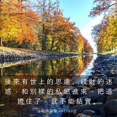 Picture 03 - 馬 可 福 音 4:19 CUVT - 後 來 有 世 上 的 思 慮 、 錢 財 的 - Bible Verse Picture
