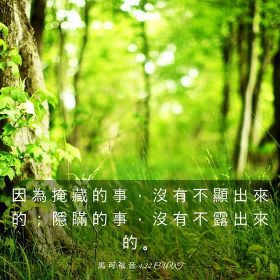 Picture 03 - 馬 可 福 音 4:22 CUVT - 因 為 掩 藏 的 事 ， 沒 有 不 顯 出 - Bible Verse Picture