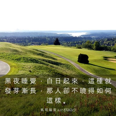 Picture 03 - 馬 可 福 音 4:27 CUVT - 黑 夜 睡 覺 ， 白 日 起 來 ， 這 種 - Bible Verse Picture