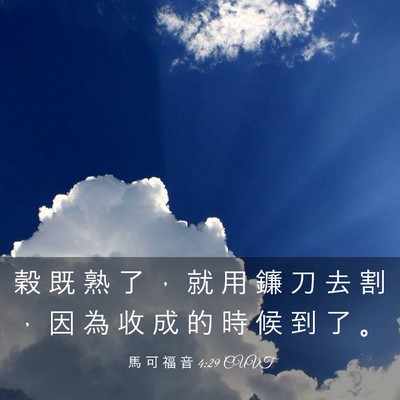 Picture 03 - 馬 可 福 音 4:29 CUVT - 穀 既 熟 了 ， 就 用 鐮 刀 去 割 ， - Bible Verse Picture