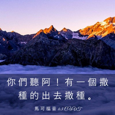 Picture 03 - 馬 可 福 音 4:3 CUVT - 你 們 聽 阿 ！ 有 一 個 撒 種 的 出 - Bible Verse Picture