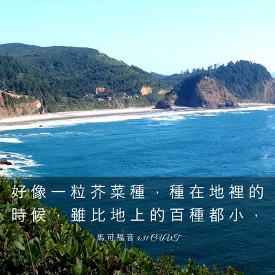 Picture 03 - 馬 可 福 音 4:31 CUVT - 好 像 一 粒 芥 菜 種 ， 種 在 地 裡 - Bible Verse Picture