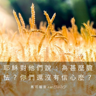 Picture 03 - 馬 可 福 音 4:40 CUVT - 耶 穌 對 他 們 說 ： 為 甚 麼 膽 怯 - Bible Verse Picture