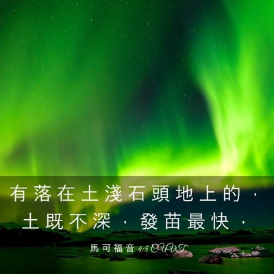 Picture 03 - 馬 可 福 音 4:5 CUVT - 有 落 在 土 淺 石 頭 地 上 的 ， 土 - Bible Verse Picture