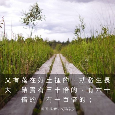 Picture 03 - 馬 可 福 音 4:8 CUVT - 又 有 落 在 好 土 裡 的 ， 就 發 生 - Bible Verse Picture