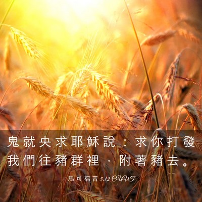 Picture 03 - 馬 可 福 音 5:12 CUVT - 鬼 就 央 求 耶 穌 說 ： 求 你 打 發 - Bible Verse Picture