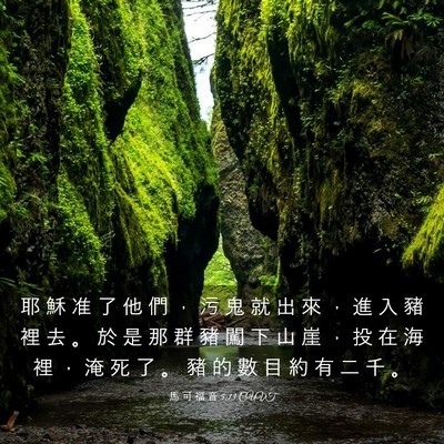 Picture 03 - 馬 可 福 音 5:13 CUVT - 耶 穌 准 了 他 們 ， 污 鬼 就 出 來 - Bible Verse Picture